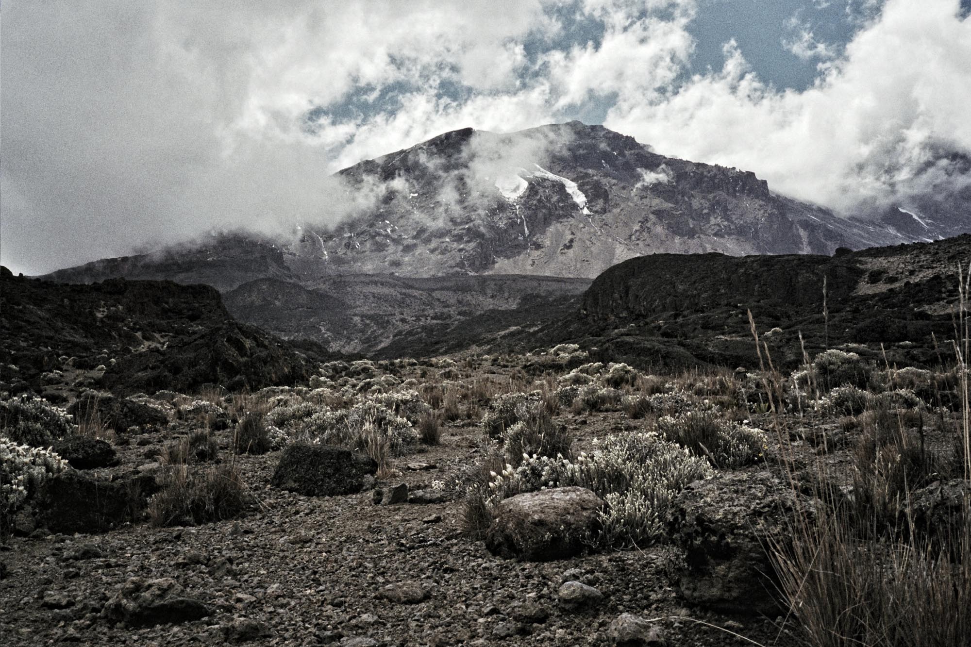 Franziska Link I Wings of Kilimanjaro