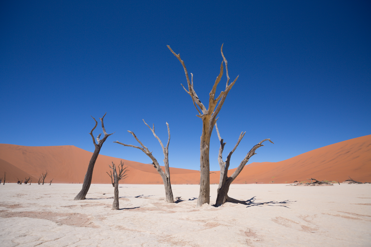 Franziska Link I Deadvlei