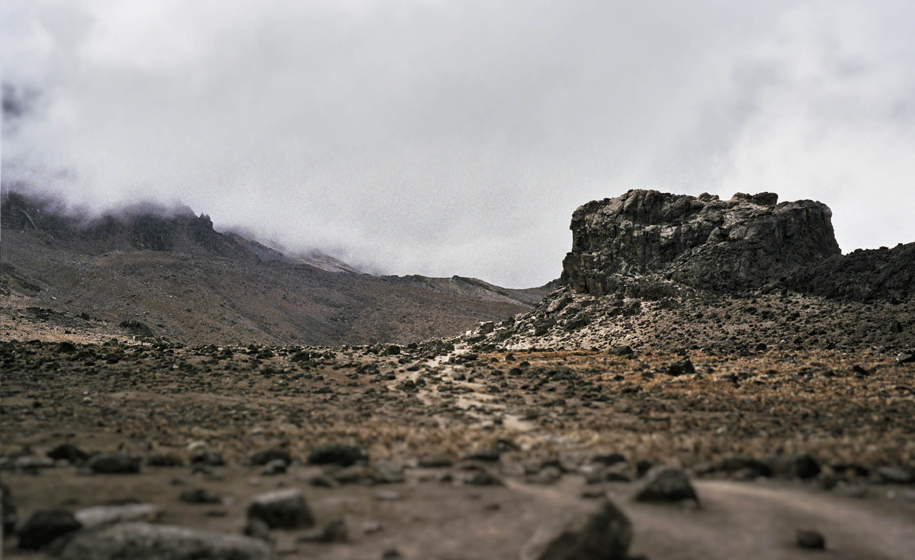 Kilimanjaro3